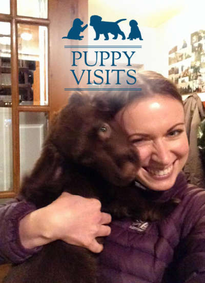 featured-puppyvisits2