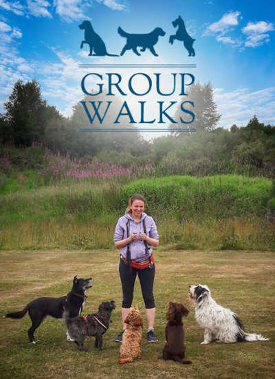 group-walks-featured
