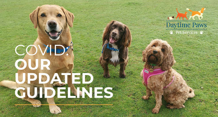 Daytime Paws Covid Guidelines – Dec 2021